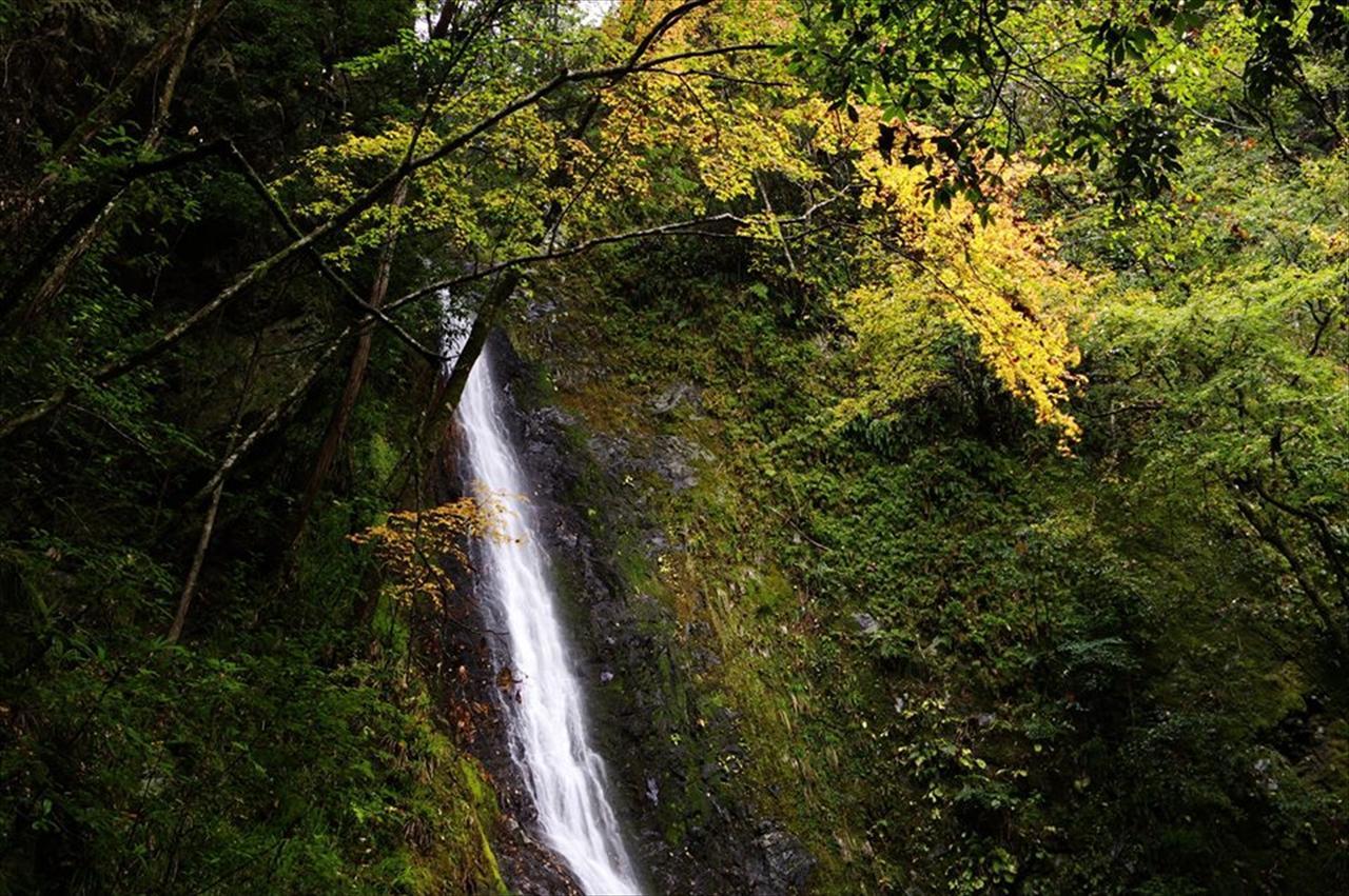 亚多里温泉亚室诺于山林小屋 桥本 外观 照片