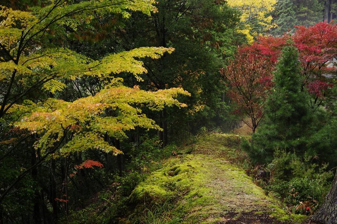 亚多里温泉亚室诺于山林小屋 桥本 外观 照片